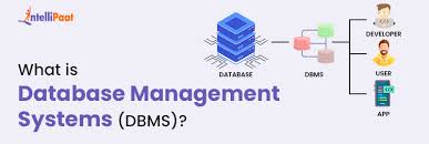 dbms database management systems