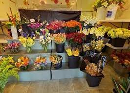 Giftflowersusa.com is now online to send flowers to jacksonville. Privado Results