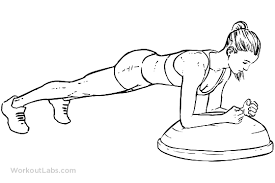 Bosu Ball Plank Workoutlabs Exercise Guide