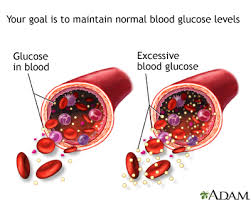 Glucose In Blood Medlineplus Medical Encyclopedia Image