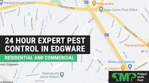 Pest Control In Edgware Professional