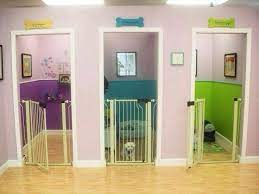 Dog Rooms