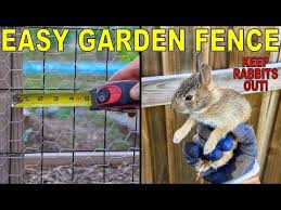 Easy Diy Garden Fencing