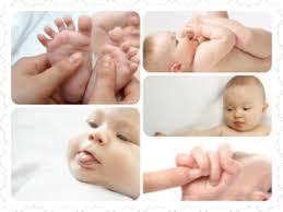 Infant Development Reflexes Familyconsumersciences Com