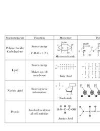Macromolecule Chart Biomolecules Ap Biology Organic