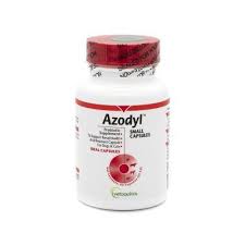 azodyl for cats and dogs supports