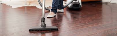 hardwood floor cleaning carpet
