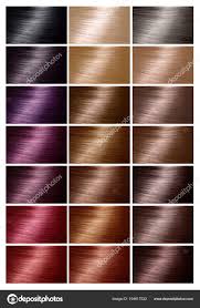 Pmages Color Hair Color Chart For Hair Dye Tints Hair