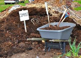 too much compost is it poisoning your