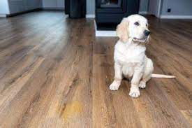 does dog damage laminate flooring