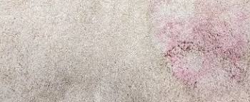 carpet cleaning toowoomba 4350 07