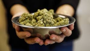 Check spelling or type a new query. Life Insurance Companies No Longer Treating Marijuana Use As High Risk As Tobacco Cbc News