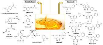 phenolic compounds in honey