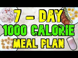 7 day 1000 calorie meal plan you