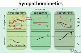 Sympathomimetics Pharmacology Medbullets Step 1