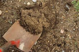 7 simple ways to improve garden soil