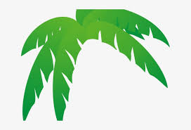 green leaves clipart jungle leaf palm