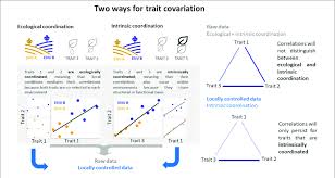 trait covariation in this hypothetical