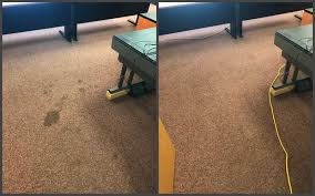 sno king carpet upholstery cleaning