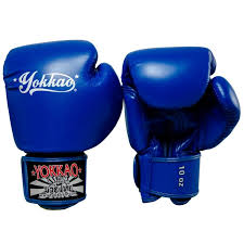 Vertigo Blue Muay Thai Gloves