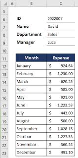 monthly expense report in excel