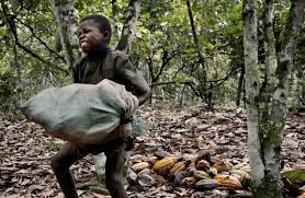 Resultado de imagen de nestle y los niños explotados del cacao