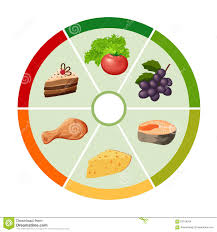 The Food Color Wheel Chart Stock Vector Illustration Of