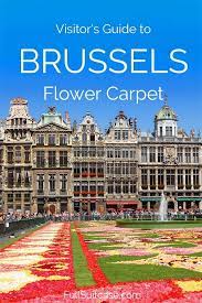 brussels flower carpet ultimate guide
