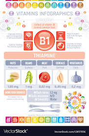 Thiamine Vitamin B1 Food Icons Healthy Eating