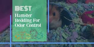 best hamster beddings for odor control
