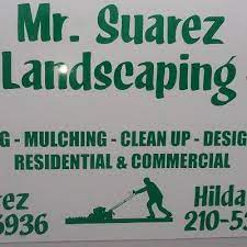 Lawn maintenance companies near you. The 10 Best Landscaping Companies In San Antonio Tx With Free Quotes