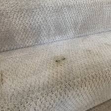 r2 carpet cleaning 57 photos 141