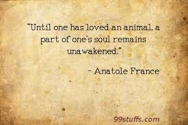 Anatole france quotes and sayings quotes by anatole france. Anatole France Until One Has Loved An Animal A Part Of One S 99stuffs