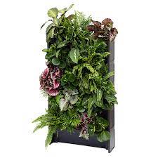 Plantbox Living Wall System Growing