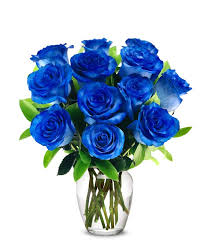 one dozen blue jewel roses at from you