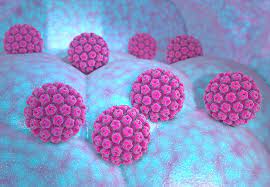 Human papillomavirus (hpv) is a group of viruses that are extremely common worldwide. 7 Things You Probably Don T Know About Hpv Health Essentials From Cleveland Clinic