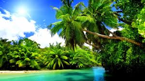 tropical nature wallpaper in 1280x720