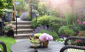 How To Garden In A Small Space The