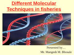 pdf basics of molecular biology