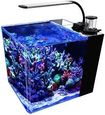 Amazon Com Gankpike 8 Gallon Saltwater Aquarium Marine Fish Tank Reef Tank With Lid Protein Skimmer Led Light Heater Lcd Digital Thermometer And Pump Kitchen Dining