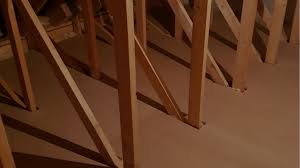 attic floors ladders