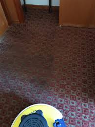 motel carpet cleaning perfect touch