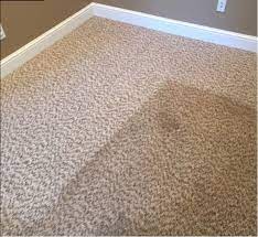 area rug cleaning drop off