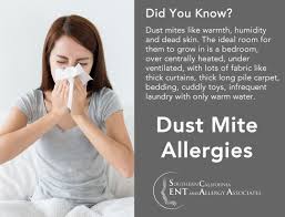 dust mite allergy treatment los angeles