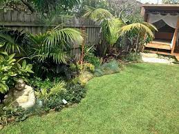 tropical landscaping backyard plants