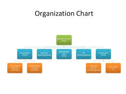 Small Company Organizational Chart Sample Www