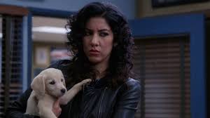Apr 01, 2021 · and when rosa comes out to her family and friends about being bisexual, holt is there to offer her kind words of encouragement and support. Arlo Brooklyn Nine Nine Wiki Fandom