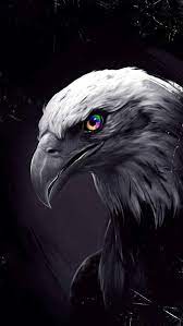 black eagle hd wallpapers pxfuel