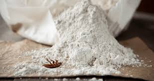 what is diatomaceous earth and how does