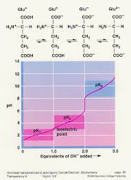 Amino Acid Titration Curves